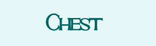 Chest.png