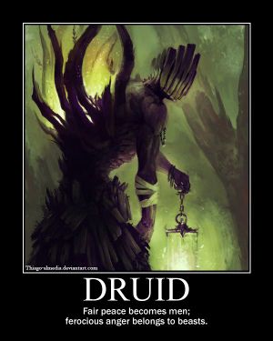 Druidmeme01.jpg